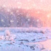 Fotografia Christmas Sunny Background. Panoramic Landscape Of Frosty Winter