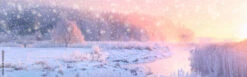 Fotografia Christmas Sunny Background. Panoramic Landscape Of Frosty Winter