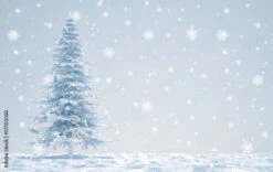 Fotografia Merry Christmas