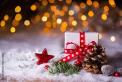 Fotografia Christmas Gift In Snow Landscape