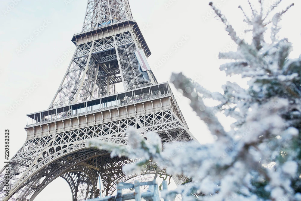 Fotografia Christmas Tree Covered With Snow Near Eiffel Tower 3 Fotografia Christmas Tree Covered With Snow Near Eiffel Tower