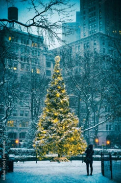 Fotografia Snow-covered Christmas Tree With Golden Lights Glowing Against A Stark Urban Bac