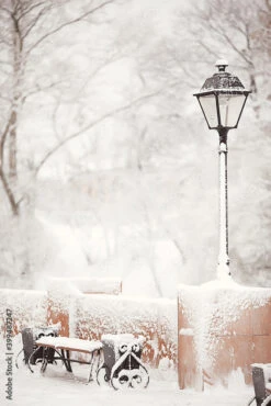 Fotografia Landscape Bench In City Park Winter Frost, Christmas Morning In The City
