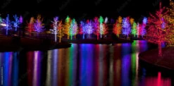 Fotografia Trees Tightly Wrapped In LED Lights For The Christmas Holidays R