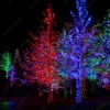 Fotografia Trees Tightly Wrapped In LED Lights For The Christmas Holidays. -Clementoni Outlet 1000 F 75472900 WcR5ZuUI9VieUvzd3imJfTgGHWwiROoo