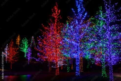 Fotografia Trees Tightly Wrapped In LED Lights For The Christmas Holidays.
